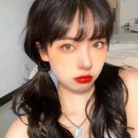 生存岛进化求生最新版下载
