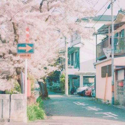 放我出去手游(暂未上线)v2.3 安卓官方版